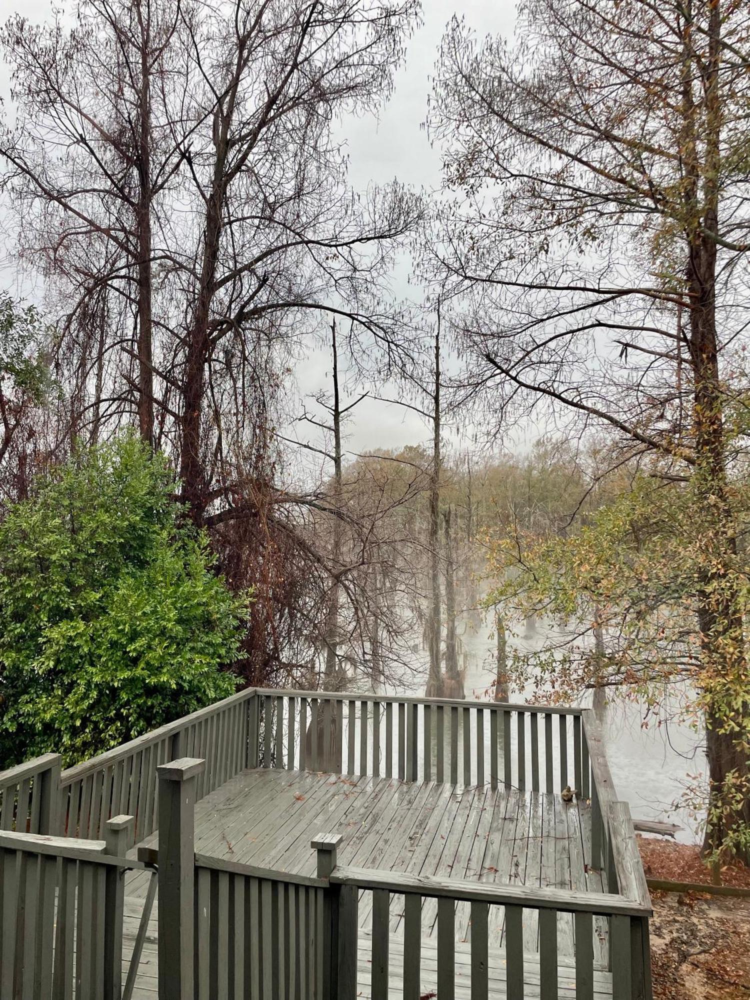 Bayou And Beyond Bayou View 먼로 외부 사진